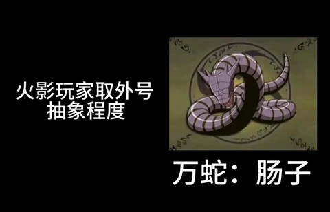 火影忍者通灵兽怎么用