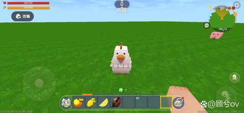 迷你世界鸡怎么繁殖[图2]