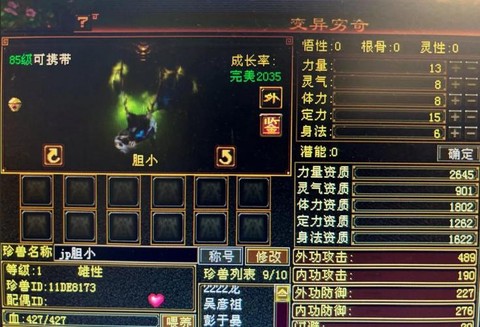 天龙八部明教带什么宝宝