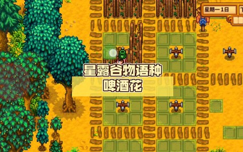 星露谷物语怎么种花