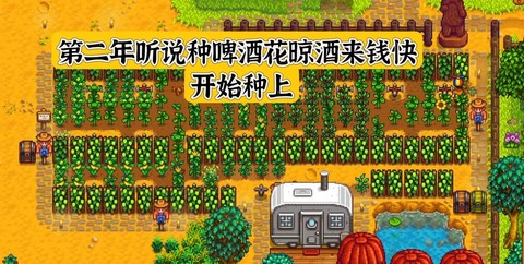 星露谷物语怎么种花[图2]