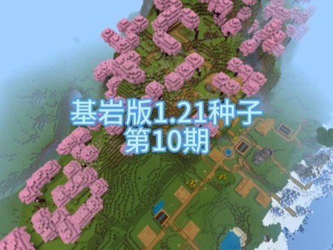 我的世界里怎么种种子