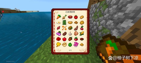 我的世界中村民吃什么[图2]