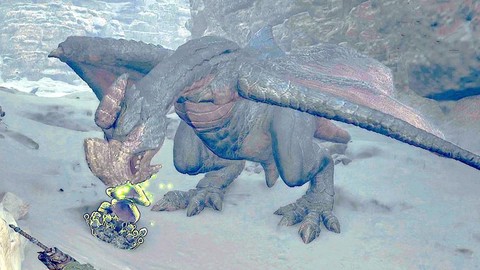 怪物猎人ol毒怪鸟弱什么