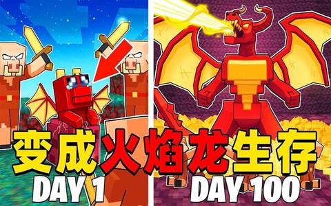 我的世界火龙怎么召唤[图2]